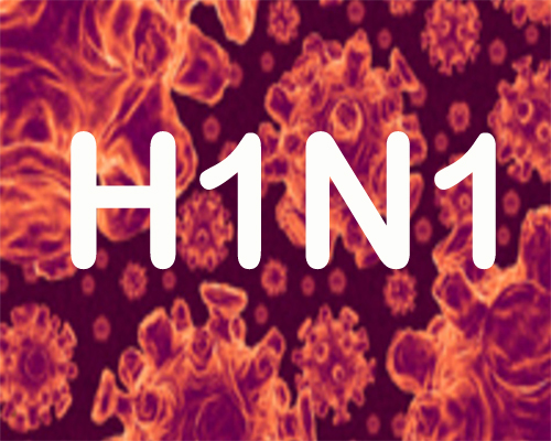 Rajasthan: Swine Flu death toll touches 84 Rajasthan: Swine Flu death toll touches 84