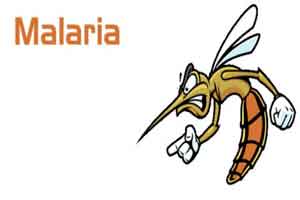 ICMR, NVBDCP call for replicating CCMP Model in Odisha to tackle Malaria ICMR, NVBDCP call for replicating CCMP Model in Odisha to tackle Malaria
