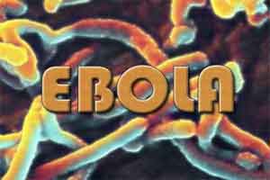 Unite, Fight against Ebola Ourtbreak: WHO chief urges DR Congo Unite, Fight against Ebola Ourtbreak: WHO chief urges DR Congo