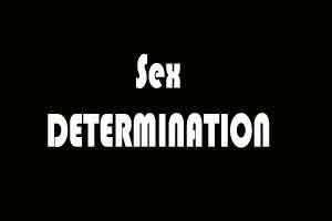 Indian Medical Association Backs Pre Natal Sex Determination Indian Medical Association Backs Pre Natal Sex Determination