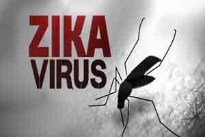 Genes, bugs and radiation: WHO backs new weapons in Zika fight Genes, bugs and radiation: WHO backs new weapons in Zika fight